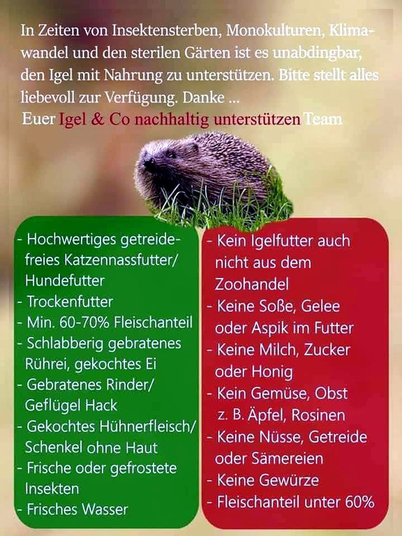 FB_IMG_1789470660441.jpg