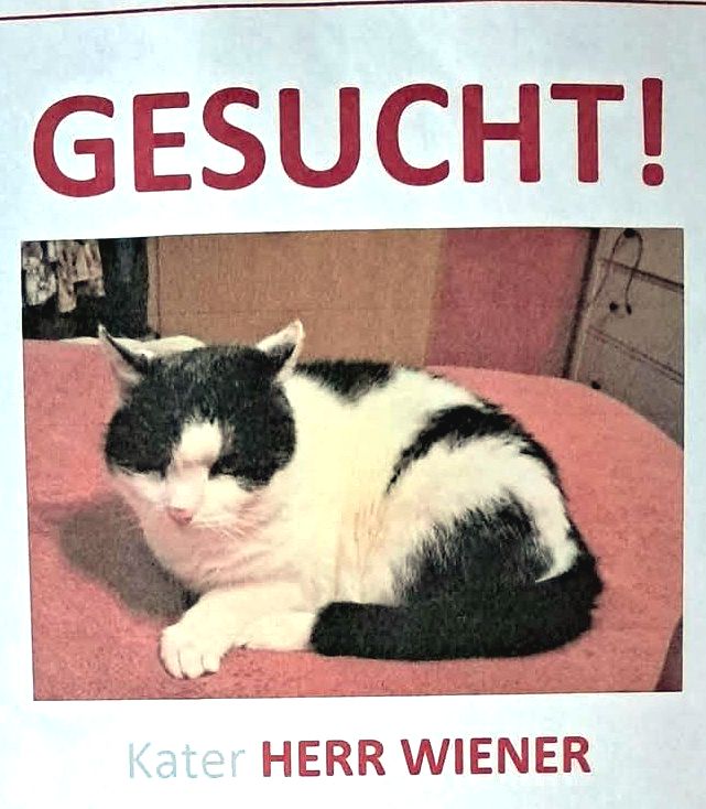 Hr. Wiener_Foto.jpg