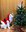 IMG-20221224-WA0025.jpg