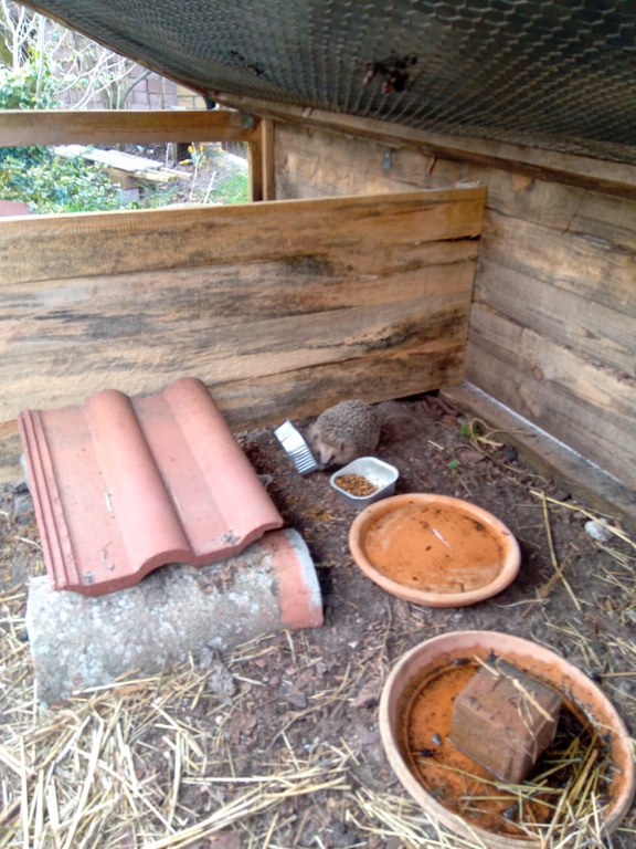 IMG-20240309-WA0018.jpg