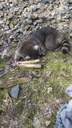 IMG-20240331-WA0026.jpg