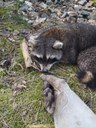IMG-20240331-WA0047.jpg