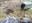 IMG-20240331-WA0052.jpg