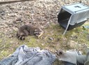 IMG-20240331-WA0052.jpg
