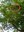 IMG-20240518-WA0014.jpg