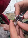 IMG-20240518-WA0019.jpg