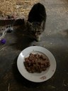 IMG-20240930-WA0046.jpg