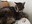IMG-20241010-WA0046.jpg