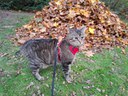 IMG-20241222-WA0030.jpg