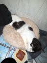 IMG-20250214-WA0007.jpg