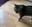 IMG-20250421-WA0061.jpg