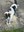 IMG-20250501-WA0006.jpg