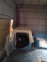 IMG-20250507-WA0019.jpg