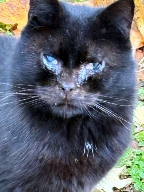 IMG-20251103-WA0028.jpg IMG-20251103-WA0028.jpg