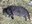 IMG-20261003-WA0031.jpg