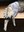 IMG_20230419_175327.jpg