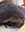 IMG_20230630_235522_736.jpg