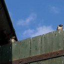 IMG_20230704_163450_038.jpg