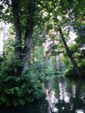 IMG_20230904_183013.jpg