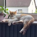 IMG_20231127_220129_181.jpg