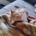 IMG_20231127_220129_187.jpg