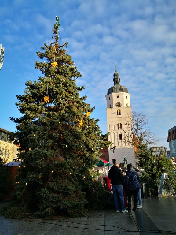 IMG_20231209_134505.jpg