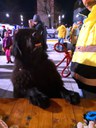 IMG_20231209_165755.jpg