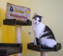 IMG_20231225_002256_628.jpg