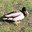 IMG_20240330_222207_971.jpg