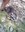 IMG_20240401_201520.jpg