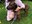 IMG_20240630_192614.jpg