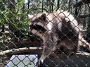 IMG_20240706_113838.jpg