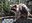 IMG_20240706_113838.jpg