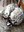 IMG_20240713_082854.jpg