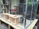 IMG_20240713_105412.jpg
