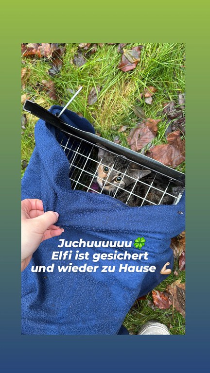 IMG_20251206_093354_816.webp IMG_20251206_093354_816.webp