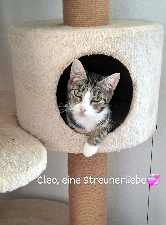 IMG_20251217_110322_256.jpg IMG_20251217_110322_256.jpg