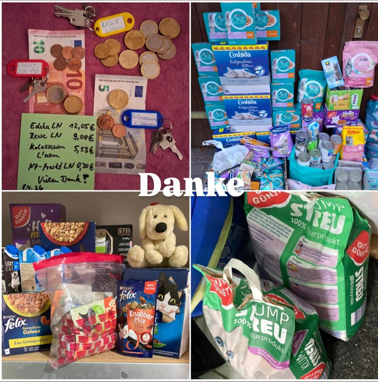 IMG_20260413_024920_953.jpg IMG_20260413_024920_953.jpg