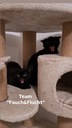 IMG_20260414_032855_997.webp