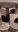 IMG_20260414_032855_997.webp