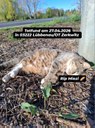 IMG_20260427_193215_862.jpg