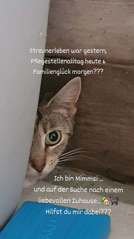 IMG_20260815_113719_666.webp