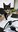 IMG_20261008_100128_942.webp