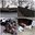 InShot_20250321_214610294.jpg