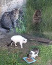 InShot_20250501_000223919.jpg