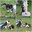 InShot_20250710_171918222.jpg