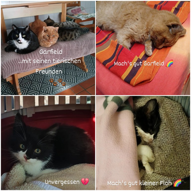 InShot_20251215_151359250.jpg InShot_20251215_151359250.jpg