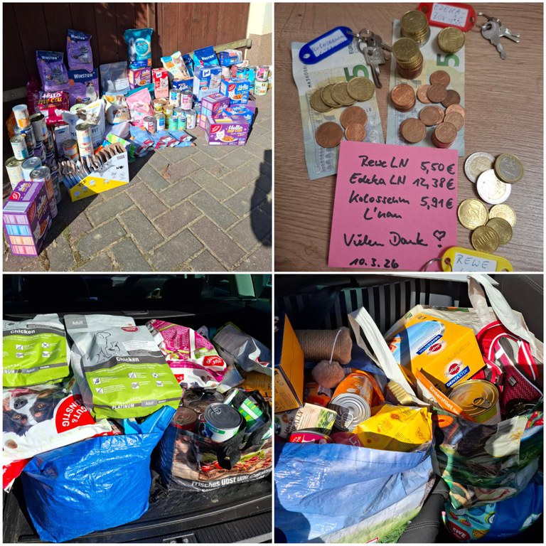 InShot_20260314_211201900.jpg InShot_20260314_211201900.jpg