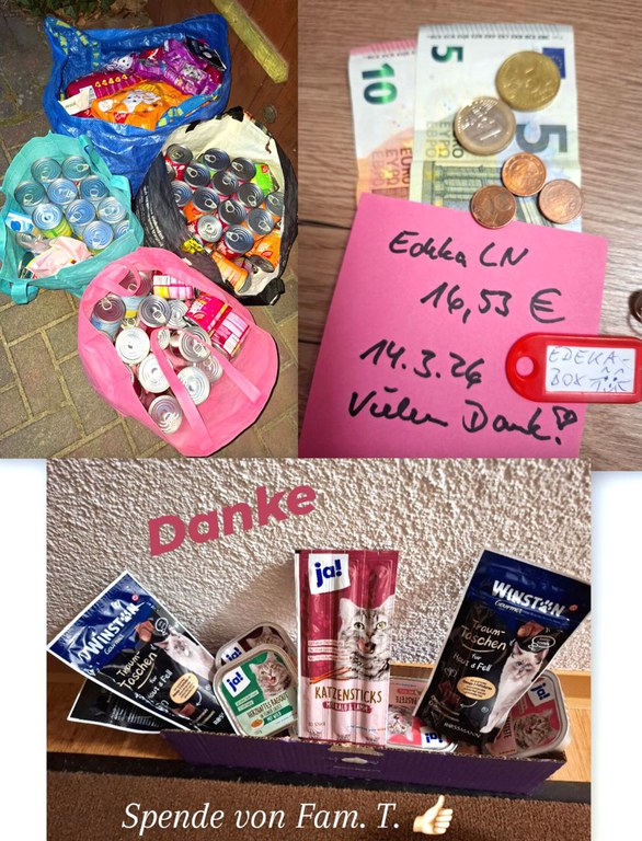 InShot_20260314_212011828.jpg InShot_20260314_212011828.jpg