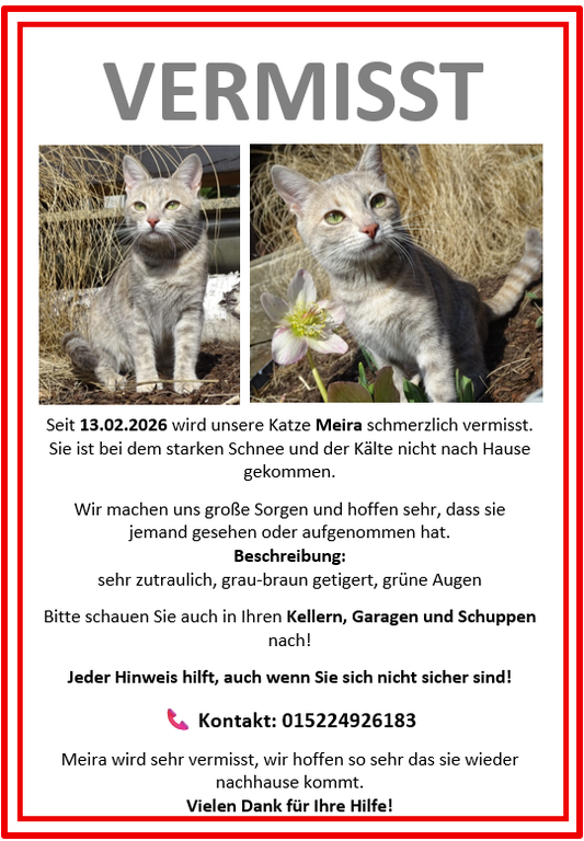 Screenshot 2026-02-19 095545.png